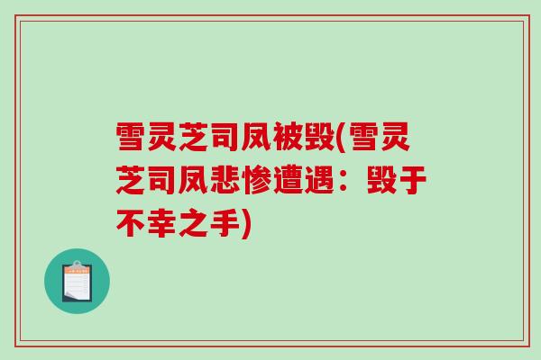 雪灵芝司凤被毁(雪灵芝司凤悲惨遭遇:毁于不幸之手)-第1张图片-破壁灵芝孢子粉研究指南 雪灵芝司凤被毁(雪灵芝司凤悲惨遭遇:毁于不幸之手)-第1张图片-破壁灵芝孢子粉研究指南