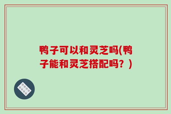 鸭子可以和灵芝吗(鸭子能和灵芝搭配吗?)-第1张图片-破壁灵芝孢子粉研究指南 鸭子可以和灵芝吗(鸭子能和灵芝搭配吗?)-第1张图片-破壁灵芝孢子粉研究指南