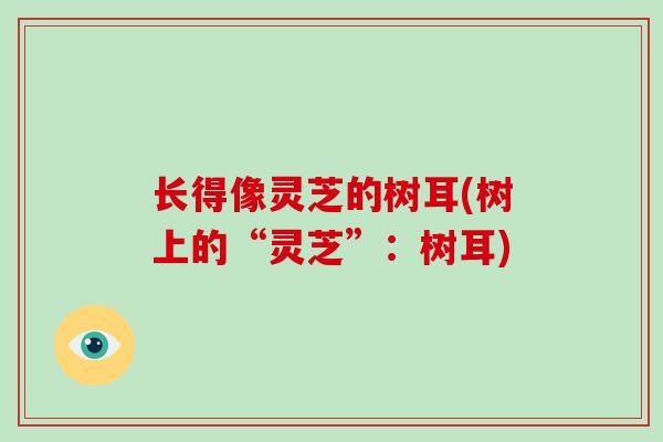 长得像灵芝的树耳(树上的“灵芝”:树耳)-第1张图片-破壁灵芝孢子粉研究指南 长得像灵芝的树耳(树上的“灵芝”:树耳)-第1张图片-破壁灵芝孢子粉研究指南