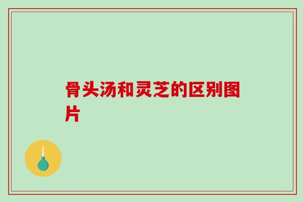 骨头汤和灵芝的区别图片-第1张图片-破壁灵芝孢子粉研究指南