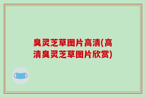 臭灵芝草图片高清(高清臭灵芝草图片欣赏)-第1张图片-破壁灵芝孢子粉研究指南 臭灵芝草图片高清(高清臭灵芝草图片欣赏)-第1张图片-破壁灵芝孢子粉研究指南