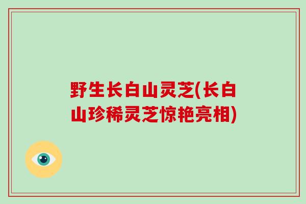 野生长白山灵芝(长白山珍稀灵芝惊艳亮相)-第1张图片-破壁灵芝孢子粉研究指南 野生长白山灵芝(长白山珍稀灵芝惊艳亮相)-第1张图片-破壁灵芝孢子粉研究指南