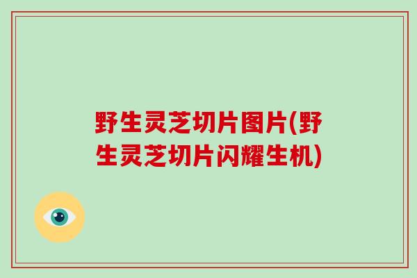 野生灵芝切片图片(野生灵芝切片闪耀生机)-第1张图片-破壁灵芝孢子粉研究指南 野生灵芝切片图片(野生灵芝切片闪耀生机)-第1张图片-破壁灵芝孢子粉研究指南