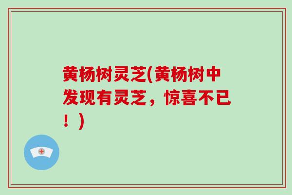黄杨树灵芝(黄杨树中发现有灵芝，惊喜不已！)-第1张图片-破壁灵芝孢子粉研究指南