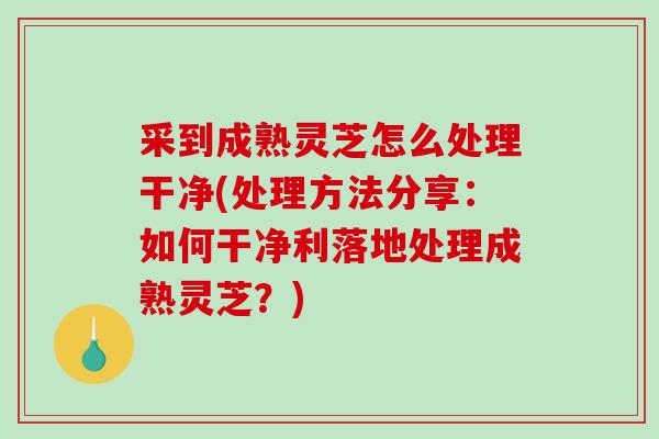 采到成熟灵芝怎么处理干净(处理方法分享:如何干净利落地处理成熟灵芝?)-第1张图片-破壁灵芝孢子粉研究指南 采到成熟灵芝怎么处理干净(处理方法分享:如何干净利落地处理成熟灵芝?)-第1张图片-破壁灵芝孢子粉研究指南