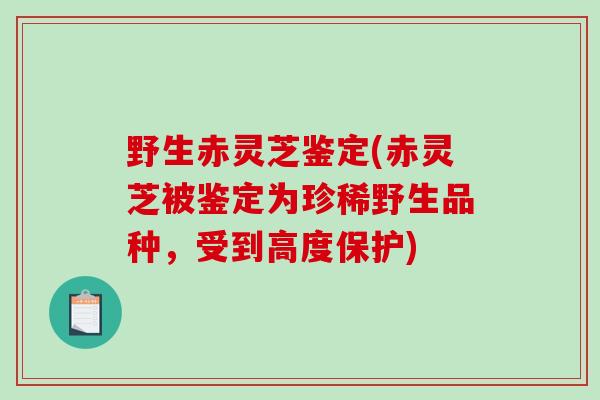 野生赤灵芝鉴定(赤灵芝被鉴定为珍稀野生品种,受到高度保护)-第1张图片-破壁灵芝孢子粉研究指南 野生赤灵芝鉴定(赤灵芝被鉴定为珍稀野生品种,受到高度保护)-第1张图片-破壁灵芝孢子粉研究指南