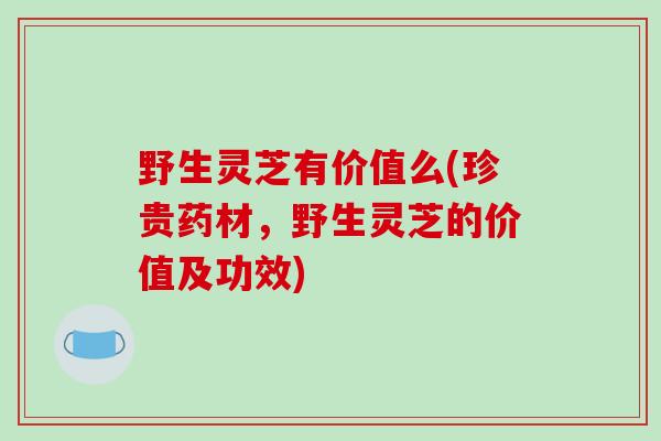 野生灵芝有价值么(珍贵药材,野生灵芝的价值及功效)-第1张图片-破壁灵芝孢子粉研究指南 野生灵芝有价值么(珍贵药材,野生灵芝的价值及功效)-第1张图片-破壁灵芝孢子粉研究指南