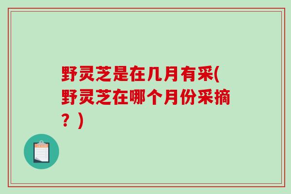 野灵芝是在几月有采(野灵芝在哪个月份采摘?)-第1张图片-破壁灵芝孢子粉研究指南 野灵芝是在几月有采(野灵芝在哪个月份采摘?)-第1张图片-破壁灵芝孢子粉研究指南