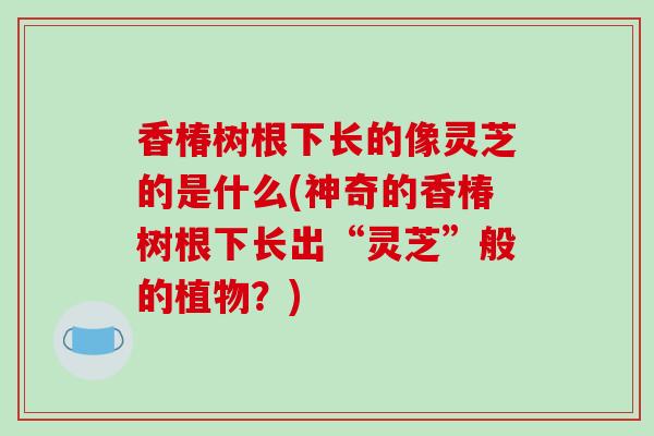 香椿树根下长的像灵芝的是什么(神奇的香椿树根下长出“灵芝”般的植物?)-第1张图片-破壁灵芝孢子粉研究指南 香椿树根下长的像灵芝的是什么(神奇的香椿树根下长出“灵芝”般的植物?)-第1张图片-破壁灵芝孢子粉研究指南