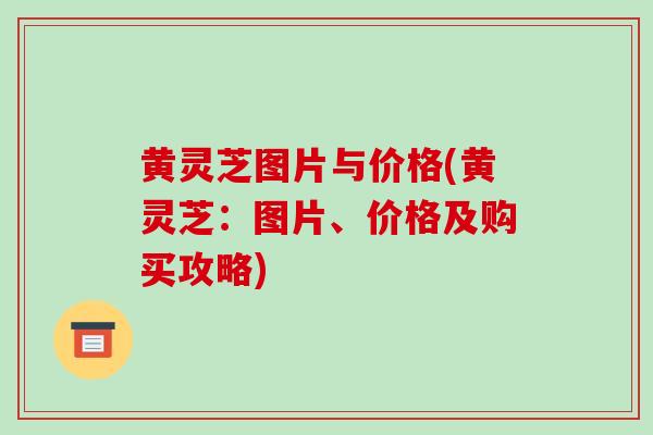 黄灵芝图片与价格(黄灵芝:图片、价格及购买攻略)-第1张图片-破壁灵芝孢子粉研究指南 黄灵芝图片与价格(黄灵芝:图片、价格及购买攻略)-第1张图片-破壁灵芝孢子粉研究指南