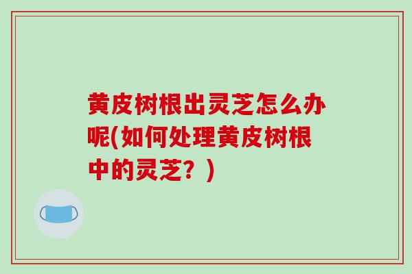 黄皮树根出灵芝怎么办呢(如何处理黄皮树根中的灵芝?)-第1张图片-破壁灵芝孢子粉研究指南 黄皮树根出灵芝怎么办呢(如何处理黄皮树根中的灵芝?)-第1张图片-破壁灵芝孢子粉研究指南