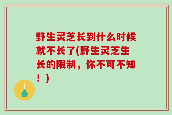 野生灵芝长到什么时候就不长了(野生灵芝生长的限制，你不可不知！)-第1张图片-破壁灵芝孢子粉研究指南