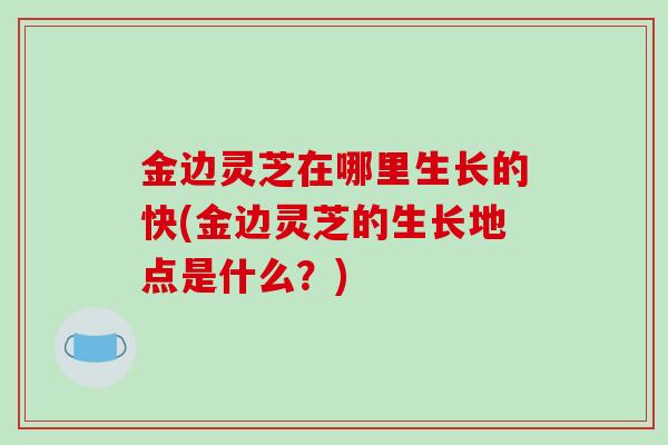 金边灵芝在哪里生长的快(金边灵芝的生长地点是什么？)-第1张图片-破壁灵芝孢子粉研究指南