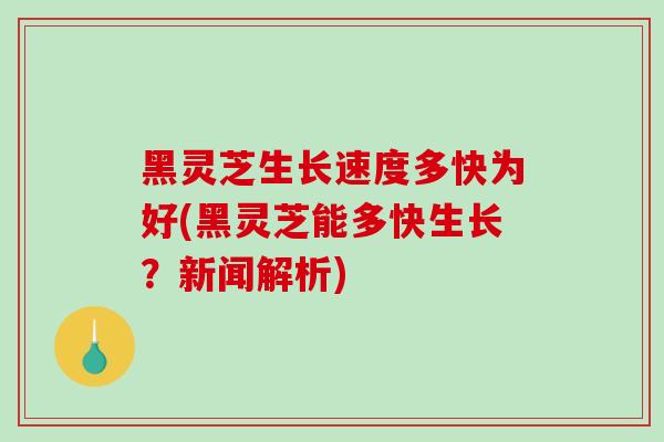 黑灵芝生长速度多快为好(黑灵芝能多快生长?新闻解析)-第1张图片-破壁灵芝孢子粉研究指南 黑灵芝生长速度多快为好(黑灵芝能多快生长?新闻解析)-第1张图片-破壁灵芝孢子粉研究指南