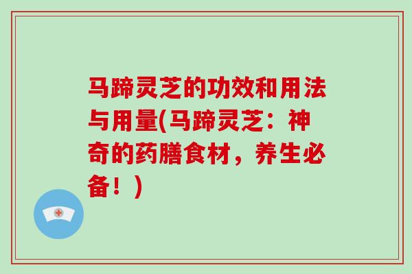 马蹄灵芝的功效和用法与用量(马蹄灵芝:神奇的药膳食材,养生必备!)-第1张图片-破壁灵芝孢子粉研究指南 马蹄灵芝的功效和用法与用量(马蹄灵芝:神奇的药膳食材,养生必备!)-第1张图片-破壁灵芝孢子粉研究指南