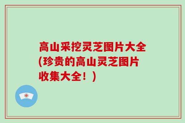 高山采挖灵芝图片大全(珍贵的高山灵芝图片收集大全！)-第1张图片-破壁灵芝孢子粉研究指南