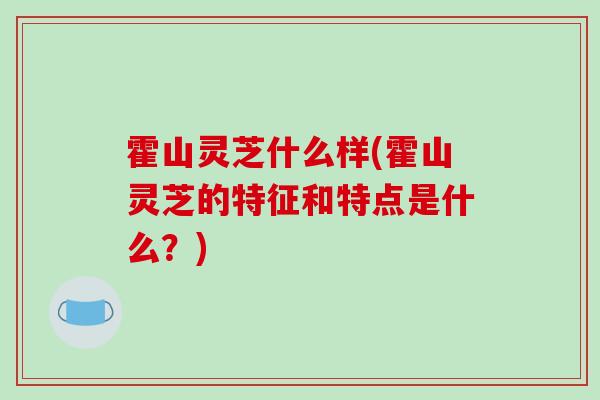 霍山灵芝什么样(霍山灵芝的特征和特点是什么?)-第1张图片-破壁灵芝孢子粉研究指南 霍山灵芝什么样(霍山灵芝的特征和特点是什么?)-第1张图片-破壁灵芝孢子粉研究指南