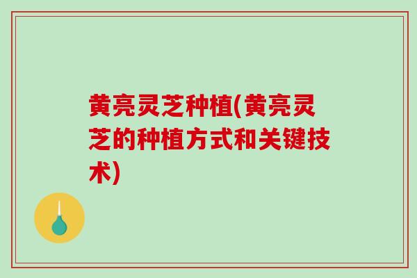 黄亮灵芝种植(黄亮灵芝的种植方式和关键技术)-第1张图片-破壁灵芝孢子粉研究指南 黄亮灵芝种植(黄亮灵芝的种植方式和关键技术)-第1张图片-破壁灵芝孢子粉研究指南
