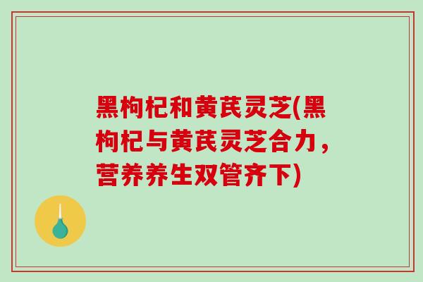 黑枸杞和黄芪灵芝(黑枸杞与黄芪灵芝合力,营养养生双管齐下)-第1张图片-破壁灵芝孢子粉研究指南 黑枸杞和黄芪灵芝(黑枸杞与黄芪灵芝合力,营养养生双管齐下)-第1张图片-破壁灵芝孢子粉研究指南