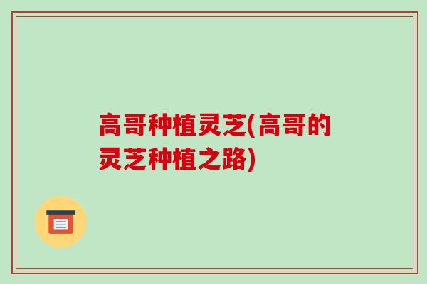 高哥种植灵芝(高哥的灵芝种植之路)-第1张图片-破壁灵芝孢子粉研究指南