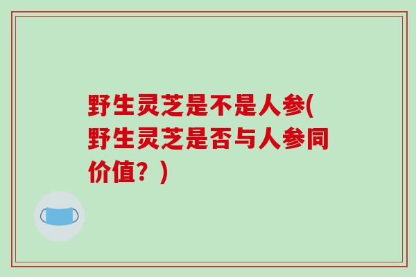 野生灵芝是不是人参(野生灵芝是否与人参同价值?)-第1张图片-破壁灵芝孢子粉研究指南 野生灵芝是不是人参(野生灵芝是否与人参同价值?)-第1张图片-破壁灵芝孢子粉研究指南