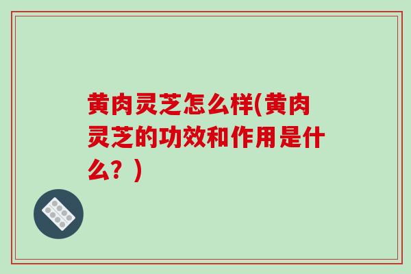 黄肉灵芝怎么样(黄肉灵芝的功效和作用是什么?)-第1张图片-破壁灵芝孢子粉研究指南 黄肉灵芝怎么样(黄肉灵芝的功效和作用是什么?)-第1张图片-破壁灵芝孢子粉研究指南