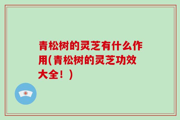 青松树的灵芝有什么作用(青松树的灵芝功效大全!)-第1张图片-破壁灵芝孢子粉研究指南 青松树的灵芝有什么作用(青松树的灵芝功效大全!)-第1张图片-破壁灵芝孢子粉研究指南