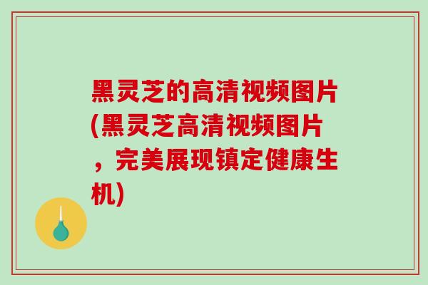 黑灵芝的高清视频图片(黑灵芝高清视频图片,完美展现镇定健康生机)-第1张图片-破壁灵芝孢子粉研究指南 黑灵芝的高清视频图片(黑灵芝高清视频图片,完美展现镇定健康生机)-第1张图片-破壁灵芝孢子粉研究指南
