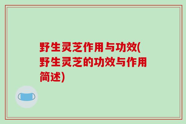 野生灵芝作用与功效(野生灵芝的功效与作用简述)-第1张图片-破壁灵芝孢子粉研究指南 野生灵芝作用与功效(野生灵芝的功效与作用简述)-第1张图片-破壁灵芝孢子粉研究指南