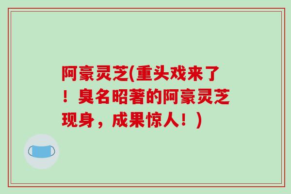 阿豪灵芝(重头戏来了!臭名昭著的阿豪灵芝现身,成果惊人!)-第1张图片-破壁灵芝孢子粉研究指南 阿豪灵芝(重头戏来了!臭名昭著的阿豪灵芝现身,成果惊人!)-第1张图片-破壁灵芝孢子粉研究指南