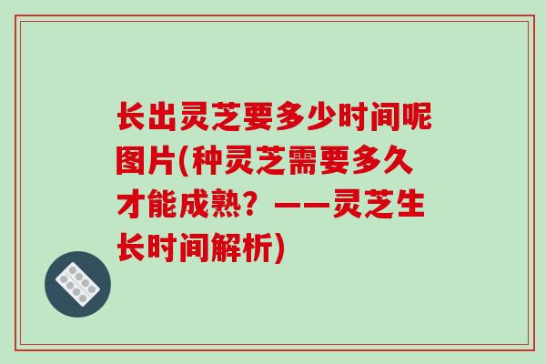 长出灵芝要多少时间呢图片(种灵芝需要多久才能成熟?——灵芝生长时间解析)-第1张图片-破壁灵芝孢子粉研究指南 长出灵芝要多少时间呢图片(种灵芝需要多久才能成熟?——灵芝生长时间解析)-第1张图片-破壁灵芝孢子粉研究指南