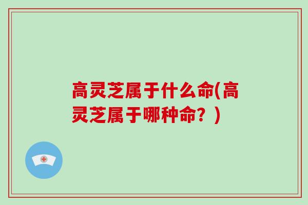 高灵芝属于什么命(高灵芝属于哪种命?)-第1张图片-破壁灵芝孢子粉研究指南 高灵芝属于什么命(高灵芝属于哪种命?)-第1张图片-破壁灵芝孢子粉研究指南