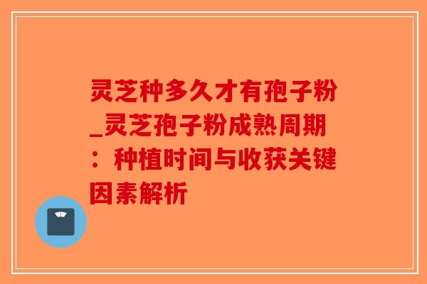 灵芝种多久才有孢子粉_灵芝孢子粉成熟周期:种植时间与收获关键因素解析-第1张图片-破壁灵芝孢子粉研究指南 灵芝种多久才有孢子粉_灵芝孢子粉成熟周期:种植时间与收获关键因素解析-第1张图片-破壁灵芝孢子粉研究指南