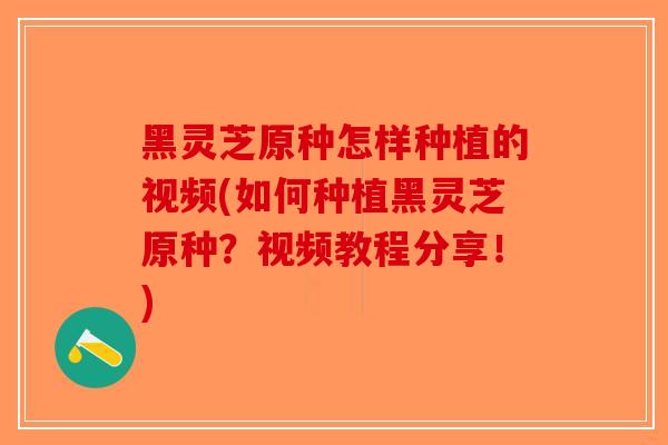 黑灵芝原种怎样种植的视频(如何种植黑灵芝原种？视频教程分享！)-第1张图片-破壁灵芝孢子粉研究指南