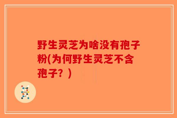 野生灵芝为啥没有孢子粉(为何野生灵芝不含孢子？)-第1张图片-破壁灵芝孢子粉研究指南
