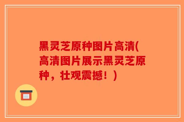 黑灵芝原种图片高清(高清图片展示黑灵芝原种,壮观震撼!)-第1张图片-破壁灵芝孢子粉研究指南 黑灵芝原种图片高清(高清图片展示黑灵芝原种,壮观震撼!)-第1张图片-破壁灵芝孢子粉研究指南