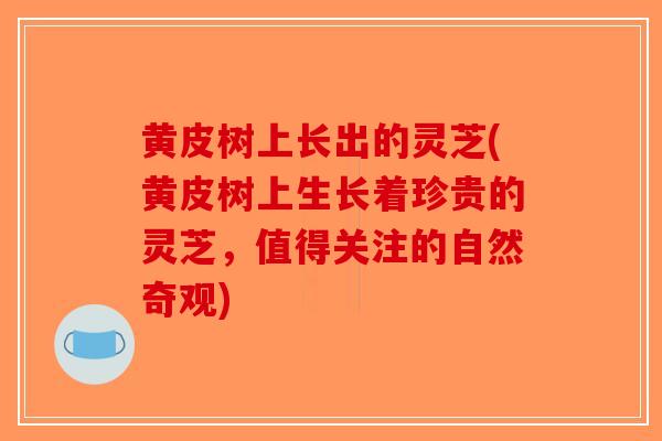 黄皮树上长出的灵芝(黄皮树上生长着珍贵的灵芝,值得关注的自然奇观)-第1张图片-破壁灵芝孢子粉研究指南 黄皮树上长出的灵芝(黄皮树上生长着珍贵的灵芝,值得关注的自然奇观)-第1张图片-破壁灵芝孢子粉研究指南