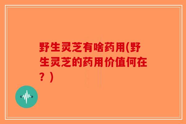 野生灵芝有啥药用(野生灵芝的药用价值何在？)-第1张图片-破壁灵芝孢子粉研究指南