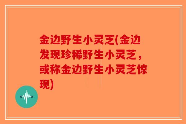 金边野生小灵芝(金边发现珍稀野生小灵芝,或称金边野生小灵芝惊现)-第1张图片-破壁灵芝孢子粉研究指南 金边野生小灵芝(金边发现珍稀野生小灵芝,或称金边野生小灵芝惊现)-第1张图片-破壁灵芝孢子粉研究指南