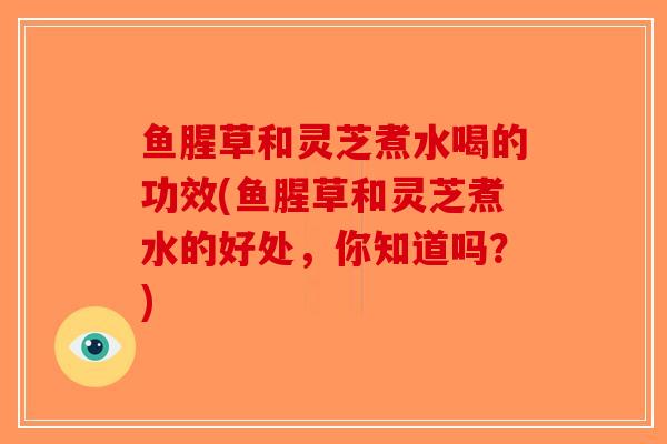 鱼腥草和灵芝煮水喝的功效(鱼腥草和灵芝煮水的好处，你知道吗？)-第1张图片-破壁灵芝孢子粉研究指南