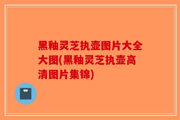 黑釉灵芝执壶图片大全大图(黑釉灵芝执壶高清图片集锦)-第1张图片-破壁灵芝孢子粉研究指南 黑釉灵芝执壶图片大全大图(黑釉灵芝执壶高清图片集锦)-第1张图片-破壁灵芝孢子粉研究指南
