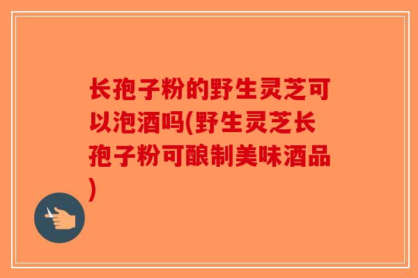 长孢子粉的野生灵芝可以泡酒吗(野生灵芝长孢子粉可酿制美味酒品)-第1张图片-破壁灵芝孢子粉研究指南