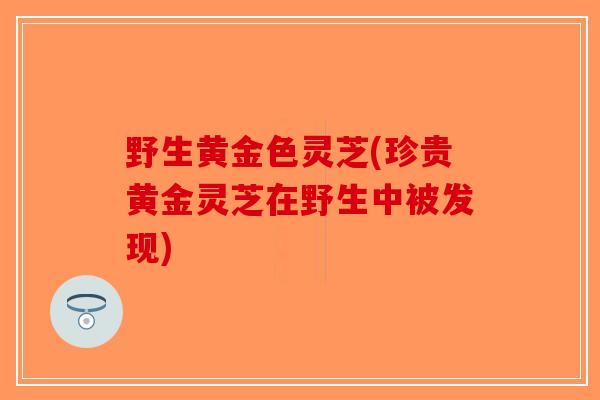 野生黄金色灵芝(珍贵黄金灵芝在野生中被发现)-第1张图片-破壁灵芝孢子粉研究指南