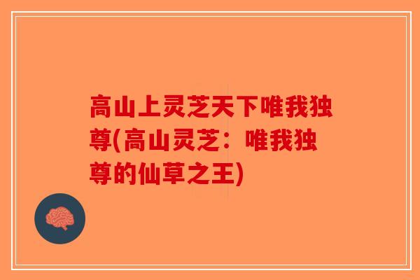 高山上灵芝天下唯我独尊(高山灵芝:唯我独尊的仙草之王)-第1张图片-破壁灵芝孢子粉研究指南 高山上灵芝天下唯我独尊(高山灵芝:唯我独尊的仙草之王)-第1张图片-破壁灵芝孢子粉研究指南