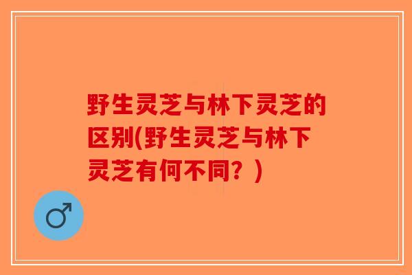 野生灵芝与林下灵芝的区别(野生灵芝与林下灵芝有何不同?)-第1张图片-破壁灵芝孢子粉研究指南 野生灵芝与林下灵芝的区别(野生灵芝与林下灵芝有何不同?)-第1张图片-破壁灵芝孢子粉研究指南