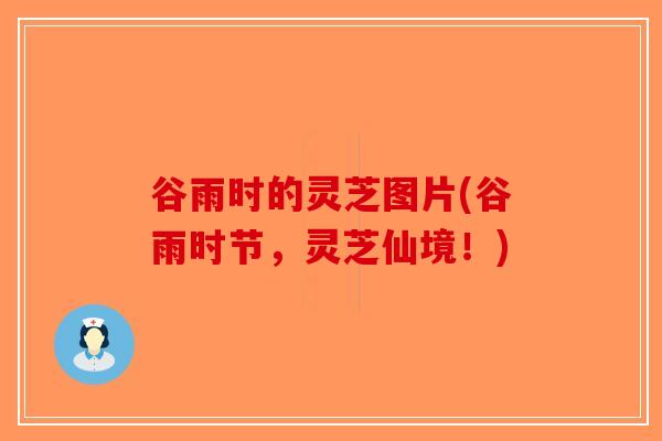 谷雨时的灵芝图片(谷雨时节,灵芝仙境!)-第1张图片-破壁灵芝孢子粉研究指南 谷雨时的灵芝图片(谷雨时节,灵芝仙境!)-第1张图片-破壁灵芝孢子粉研究指南
