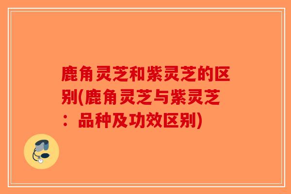 鹿角灵芝和紫灵芝的区别(鹿角灵芝与紫灵芝:品种及功效区别)-第1张图片-破壁灵芝孢子粉研究指南 鹿角灵芝和紫灵芝的区别(鹿角灵芝与紫灵芝:品种及功效区别)-第1张图片-破壁灵芝孢子粉研究指南