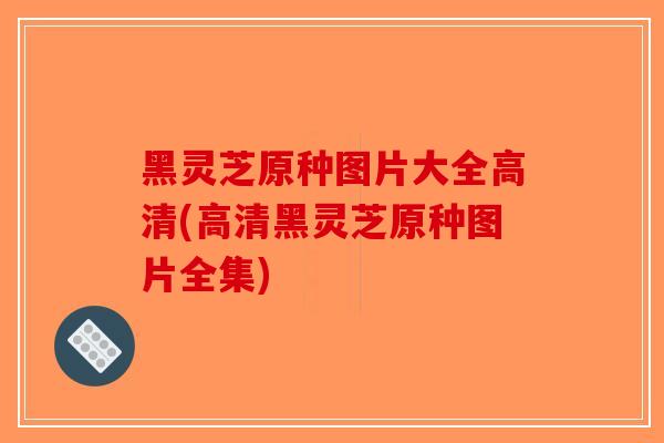 黑灵芝原种图片大全高清(高清黑灵芝原种图片全集)-第1张图片-破壁灵芝孢子粉研究指南 黑灵芝原种图片大全高清(高清黑灵芝原种图片全集)-第1张图片-破壁灵芝孢子粉研究指南