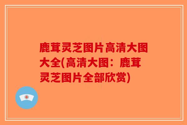 鹿茸灵芝图片高清大图大全(高清大图:鹿茸灵芝图片全部欣赏)-第1张图片-破壁灵芝孢子粉研究指南 鹿茸灵芝图片高清大图大全(高清大图:鹿茸灵芝图片全部欣赏)-第1张图片-破壁灵芝孢子粉研究指南