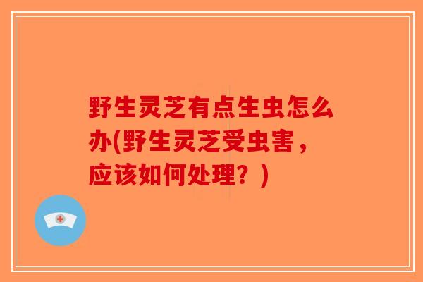 野生灵芝有点生虫怎么办(野生灵芝受虫害，应该如何处理？)-第1张图片-破壁灵芝孢子粉研究指南